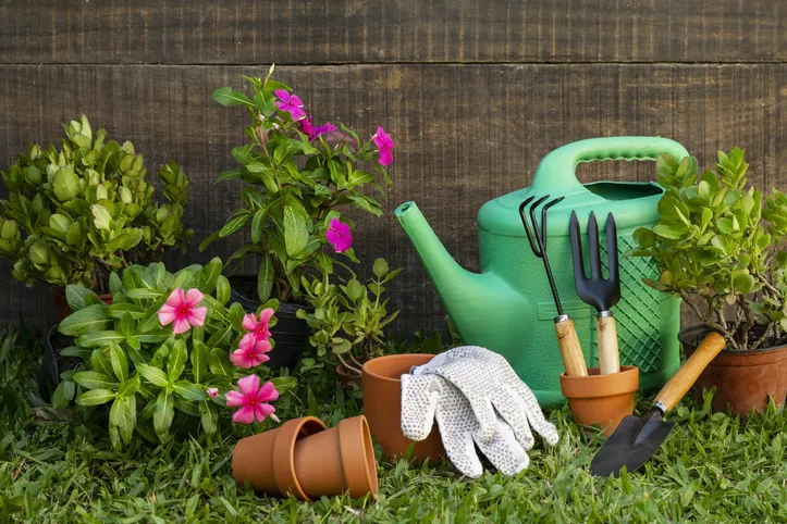 Jardinagem é um dos hobbies que viralizaram entre os jovens