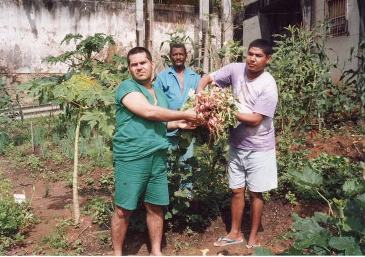 Internos do Juliano Moreira colhem rabanetes na horta do hospital | 21 / 11/ 1995