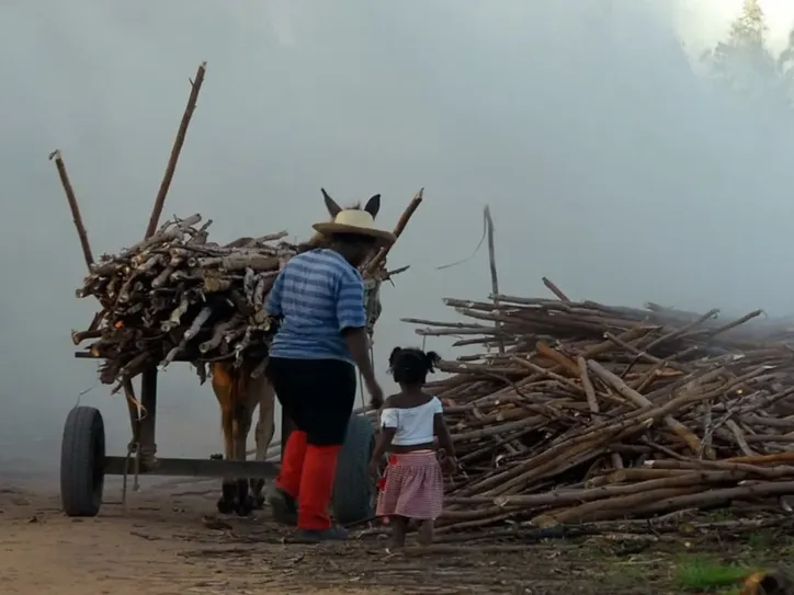 Mulher negra com criança trabalhando no campo
