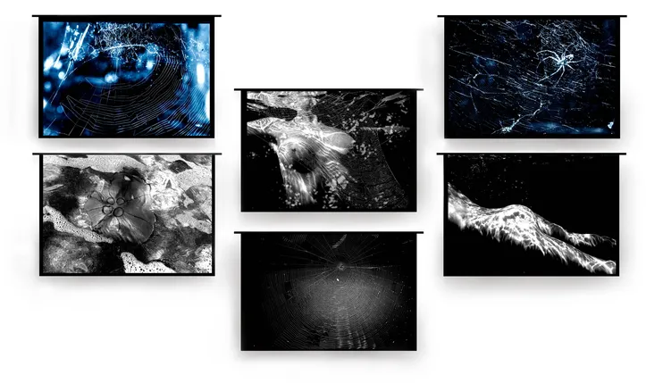Fotografias de Isidora Gajic
