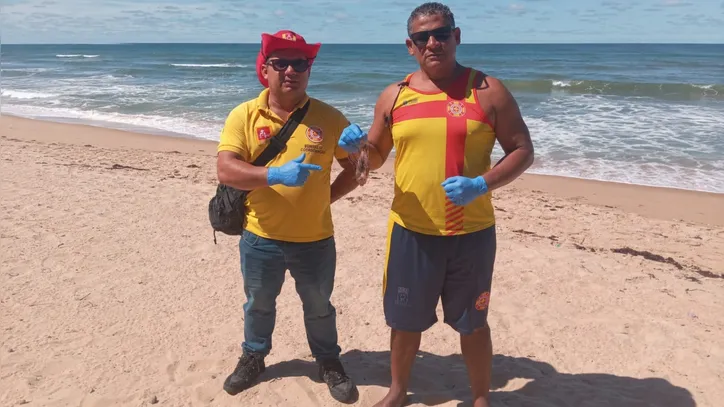 Imagem ilustrativa da imagem Peixe altamente perigoso é encontrado em praia perto de Salvador