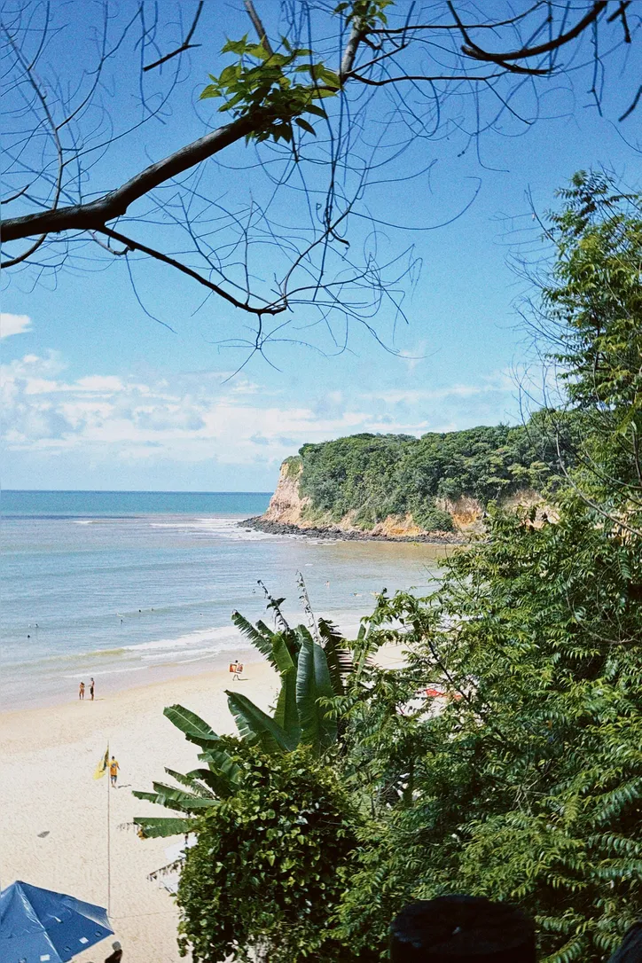Imagem ilustrativa da imagem Praia da Pipa: um paraíso com falésias e golfinhos no litoral do Nordeste
