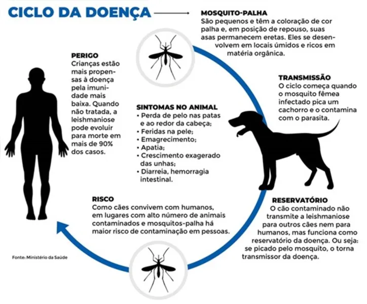 Ciclo da Leishmaniose