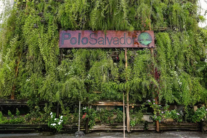 Parede verde, feita com técnica de compostagem, é cartão-postal da fábrica da Polo Salvador