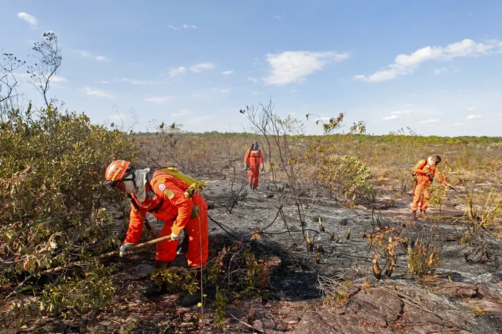 Imagem ilustrativa da imagem Após 100 dias de combate a incêndios florestais, bombeiros registram queda de 29% nos focos de calor durante a operação