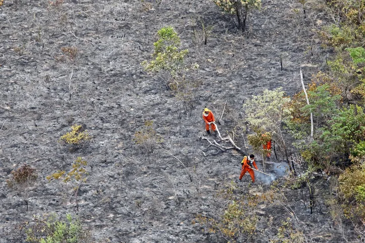 Imagem ilustrativa da imagem Após 100 dias de combate a incêndios florestais, bombeiros registram queda de 29% nos focos de calor durante a operação
