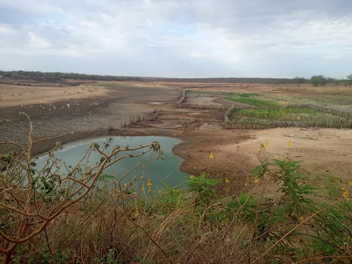 Barragem da comunidade dos Negros, zona rural de Remanso, quando perdeu quase 100% da água com a seca em 2021