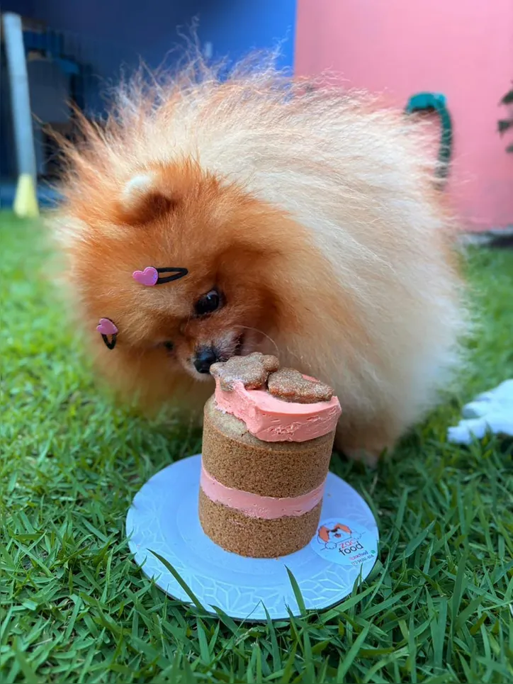 A cadelinha Amora em sua festa de aniversário