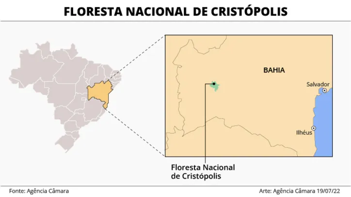 Área de demarcação da Flona de Cristópolis