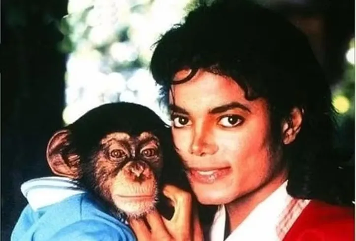Michael Jackson - Mais de 50 espécies