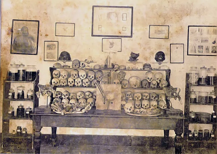 Gabinete de Nina Rodrigues