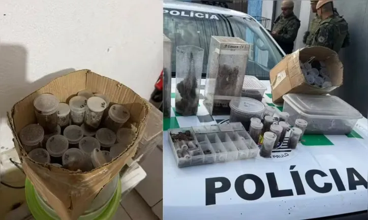 Apreensão da polícia
