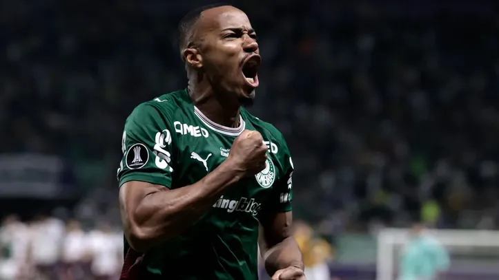 Palmeiras e Fluminense