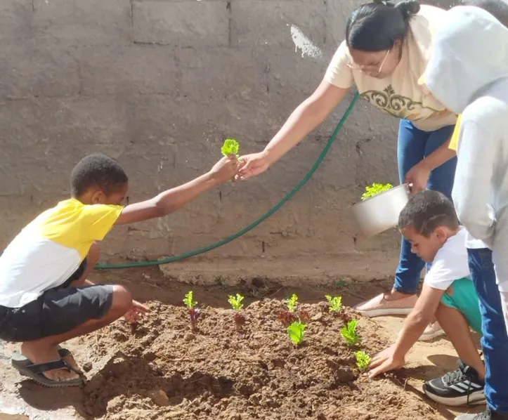 Projeto Imersão Ambiental transforma o território local em laboratório de pesquisa e conscientização
