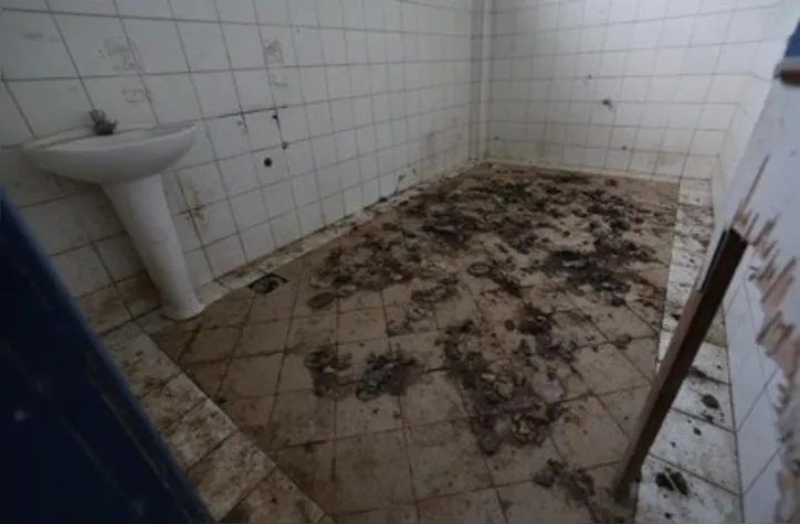 Cães estariam em condições insalubre