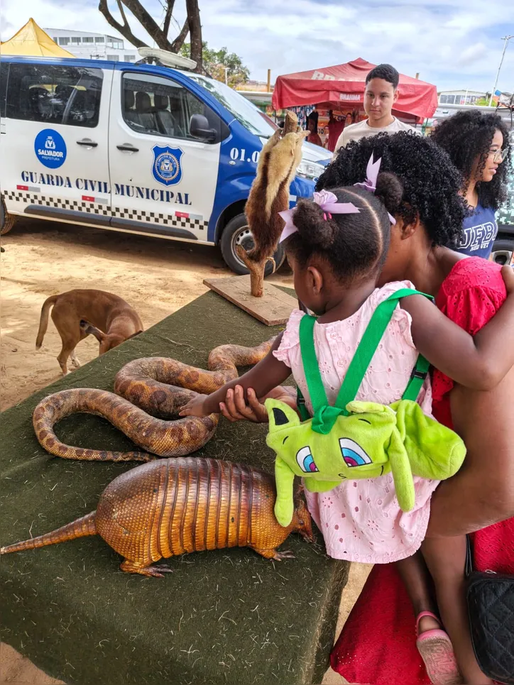Ação educativa estimula a entrega voluntária