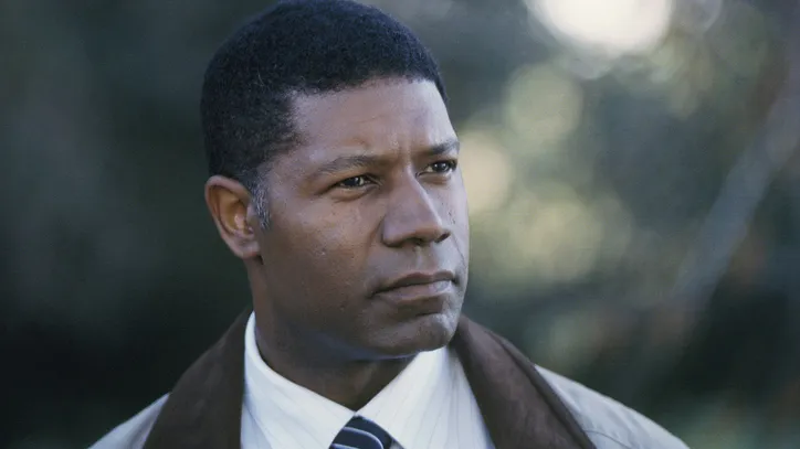 David Palmer em 24 Horas