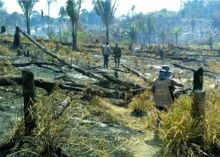 Imagem ilustrativa da imagem Desmatamento sob Bolsonaro chegou a nível alarmante, diz Ipam