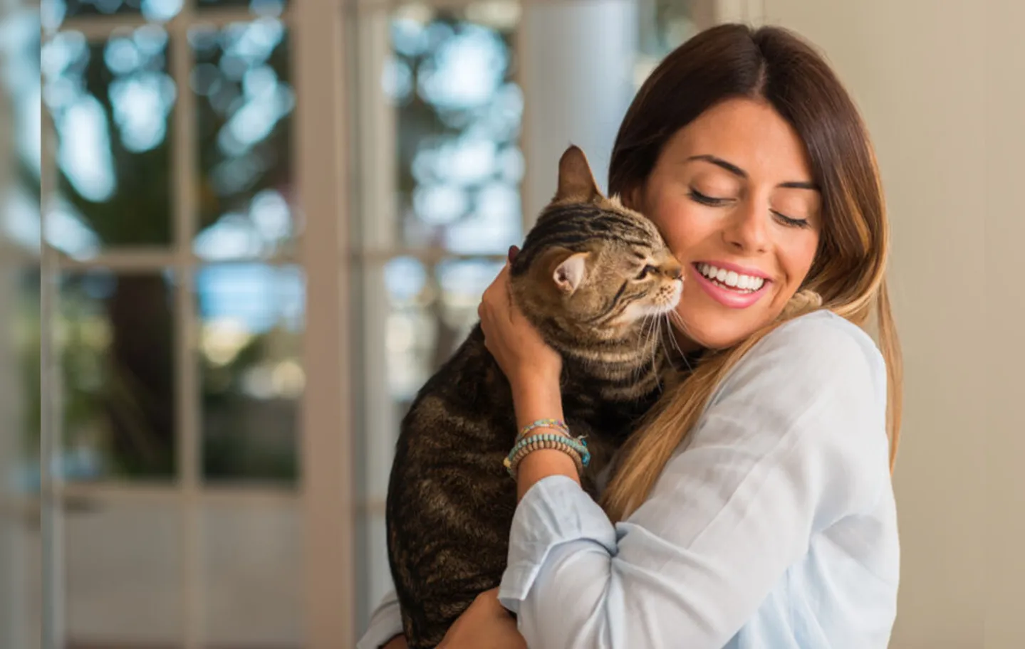 Imagem ilustrativa da imagem Médico veterinário explica os comportamentos mais famosos dos gatos