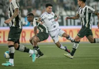 Vitória x Botafogo: onde assistir e prováveis escalações