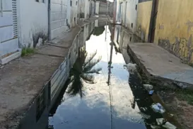 Com saneamento básico precário, Juazeiro registra 4 mortes pela dengue - Imagem