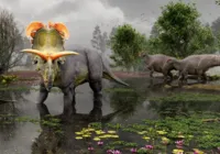 Dinossauro de grandes chifres é batizado em homenagem a Loki imagem