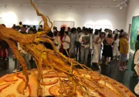 Exposição 'Raízes' explora ancestralidade e afrofuturismo no Muncab