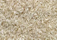 PF investiga possíveis irregularidades em leilão de arroz importado