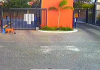 Câmera flagra ataque brutal de pitbull em condomínio na Bahia; assista