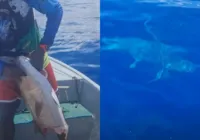 Tubarão “rouba” peixe de pescadores em Amaralina; assista
