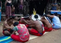 Websérie explora cultura ancestral de aldeia Xukuru-Kariri