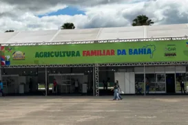 Expositores da agricultura familiar enxergam Bahia Farm como vitrine - Imagem