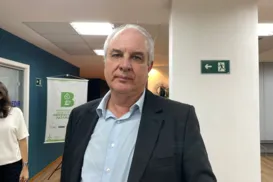 Fábrica da Goldwind entrará em funcionamento até julho, afirma vice-presidente - Imagem