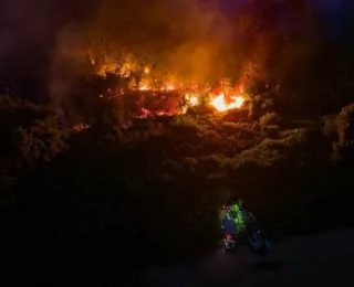 Governo do MS decreta estado de emergência após incêndios no Pantanal