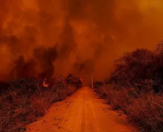 Pantanal registrou mais de 3 mil focos de incêndio neste ano, aponta Inpe