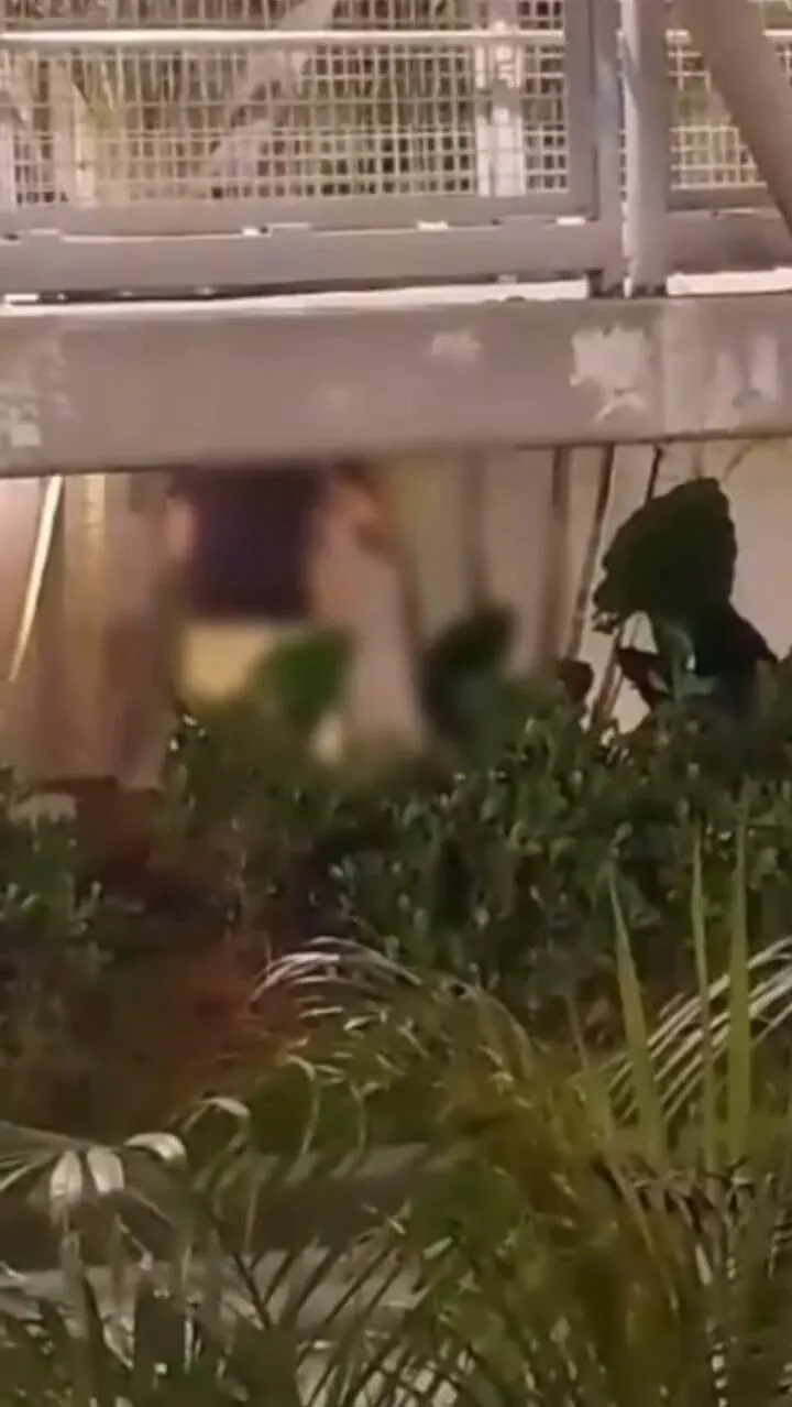 Vídeo: casal é flagrado fazendo sexo em passarela do Iguatemi