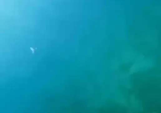 Defensoria Pública foi acionada para intervir no caso